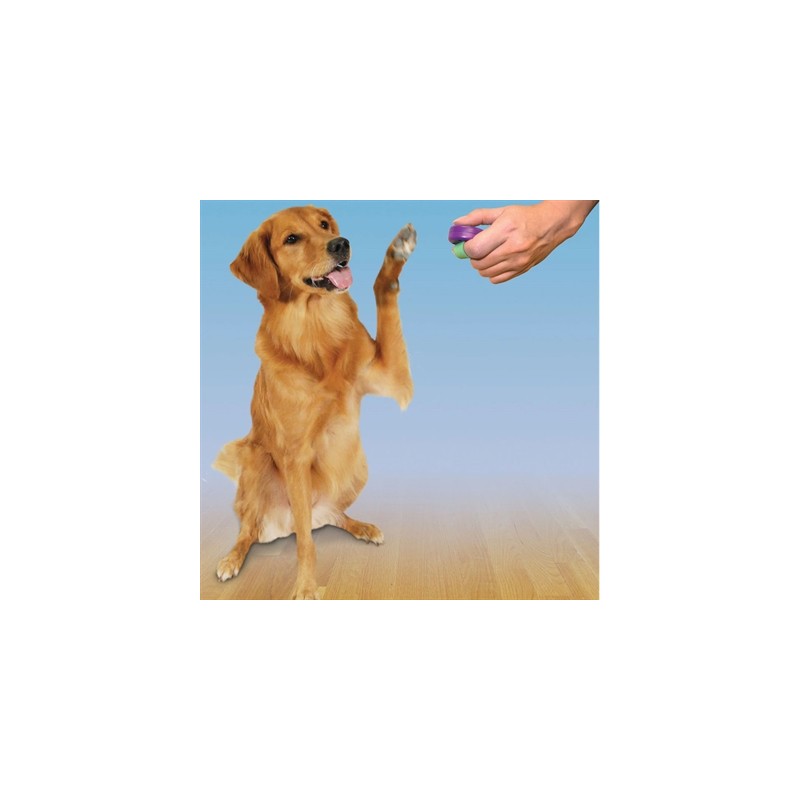 Clik-R Petsafe Clicker Voor Training