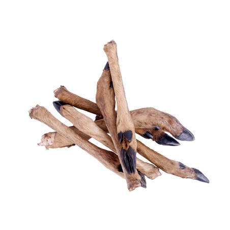 Petsnack Reeenpoot Met Haar