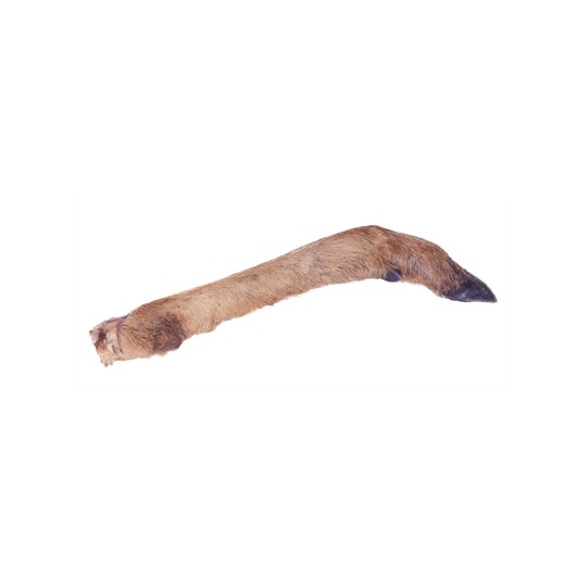 Petsnack Reeenpoot Met Haar