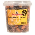 Dogstar Colour Mixtrainers