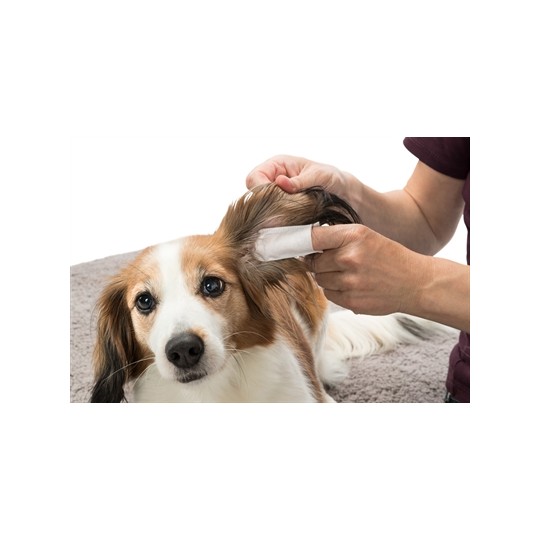 Trixie Ear Care Vingerpads