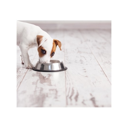 Happy Pet Voerbak Antislip Spaniel