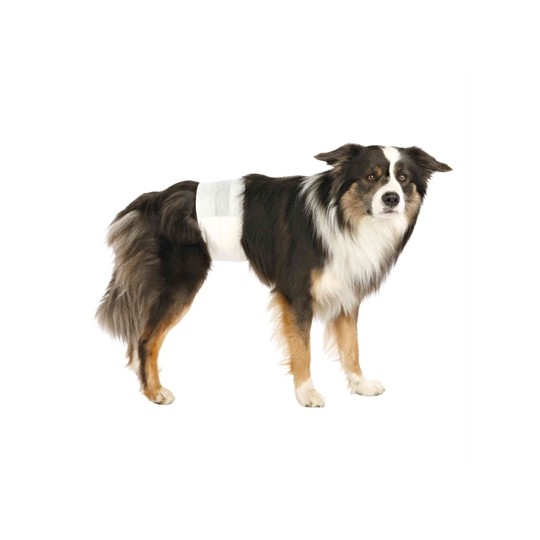 Trixie Hondenluiers Reu