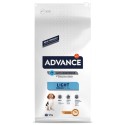 Advance Medium Light
