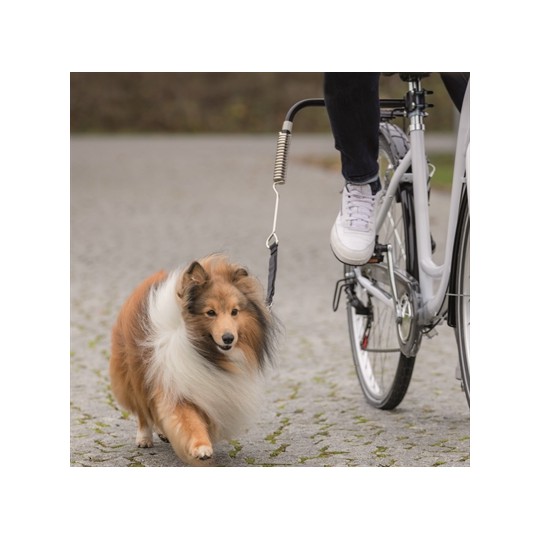 Trixie Bikerset Fietsbeugel Springer
