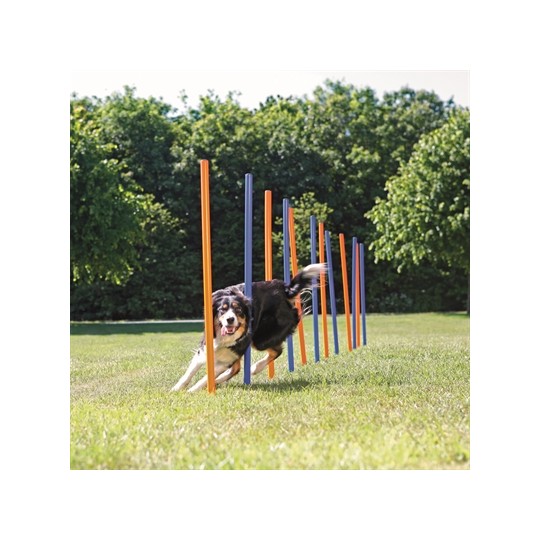 Trixie Dog Activity Agility Slalom Stokken Blauw / Oranje