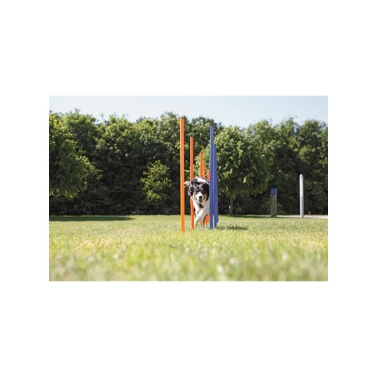 Trixie Dog Activity Agility Slalom Stokken Blauw / Oranje