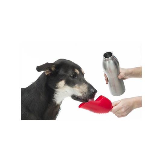 Kong H2O Drinkfles Rvs Roze