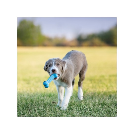 Kong Puppy Goodie Bone Roze Of Blauw Assorti