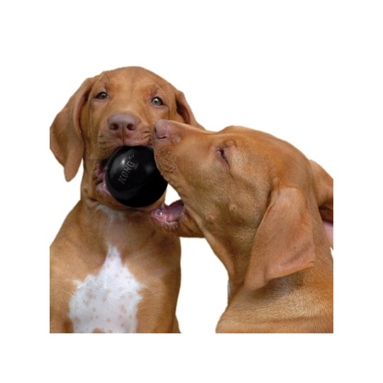 Kong Extreme Rubber Bal Zwart