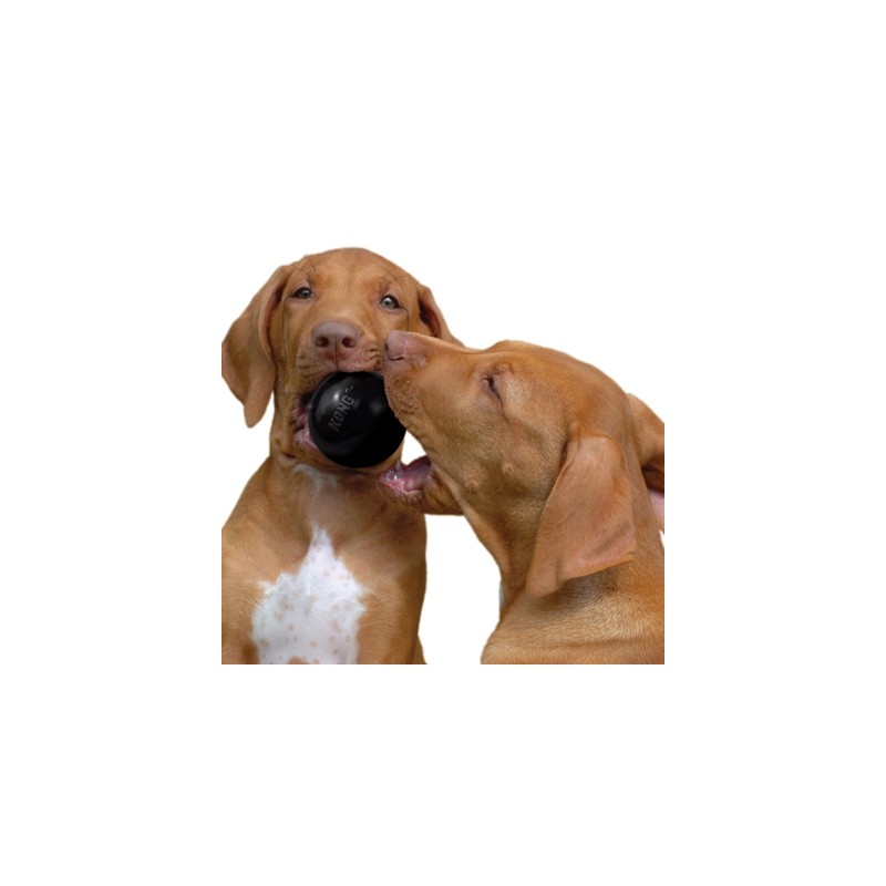 Kong Extreme Rubber Bal Zwart