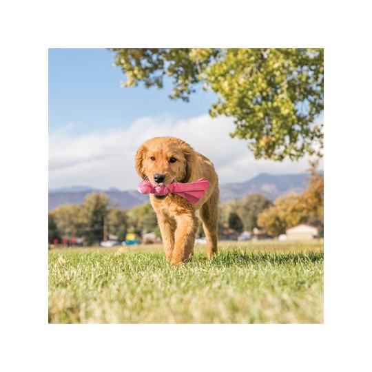 Kong Wubba Puppy Assorti