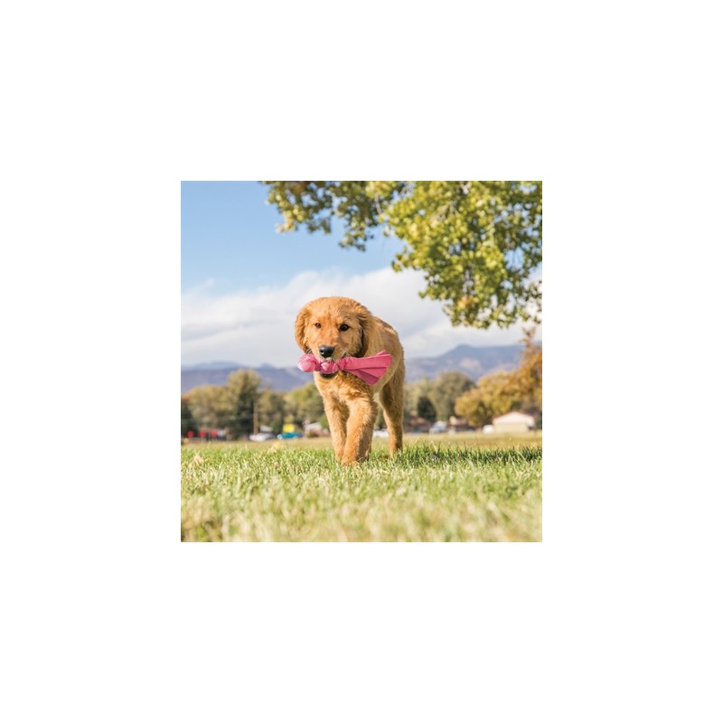 Kong Wubba Puppy Assorti