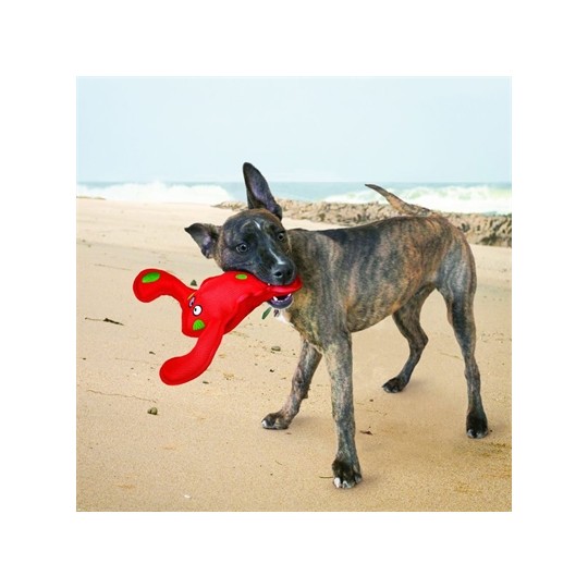 Kong Belly Flops Kreeft