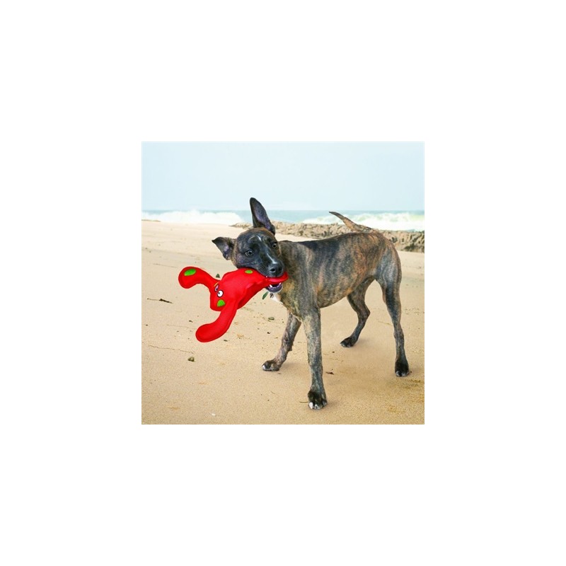 Kong Belly Flops Kreeft