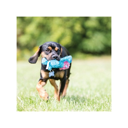 Kong Cozie Brights Assorti