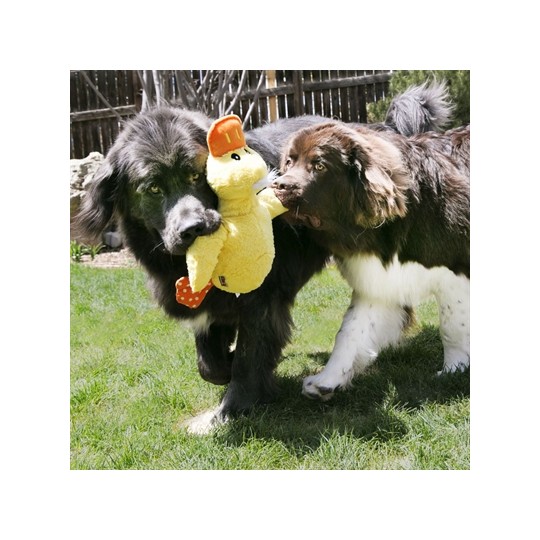 Kong Comfort Jumbo Eend Assorti