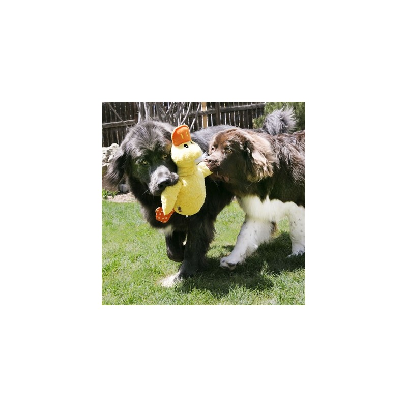 Kong Comfort Jumbo Eend Assorti