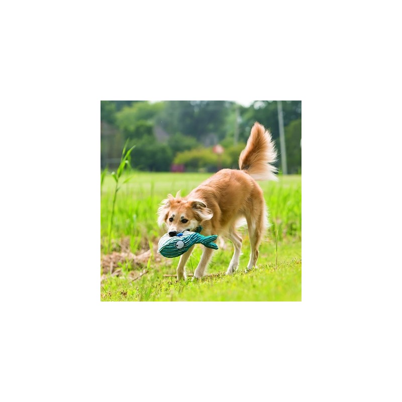 Kong Cuteseas Octopus