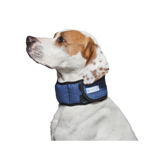 Aqua Coolkeeper Zzzhalsband Aqua Coolkeeper Pacific Blue