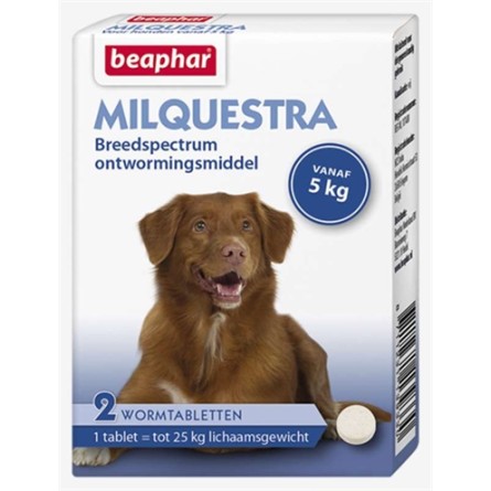 Beaphar Milquestra Hond