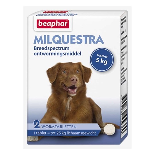 Beaphar Milquestra Hond