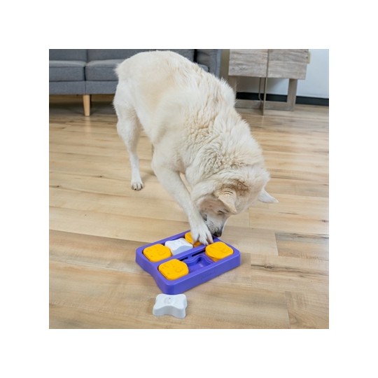 Nina Ottosson Dog Brick