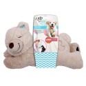 Afp Little Buddy Warm Bear
