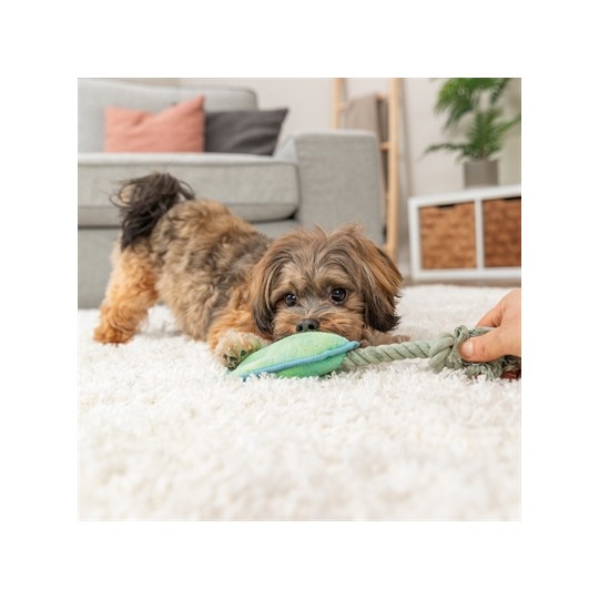 Trixie Dierenpoot Met Touw Groen