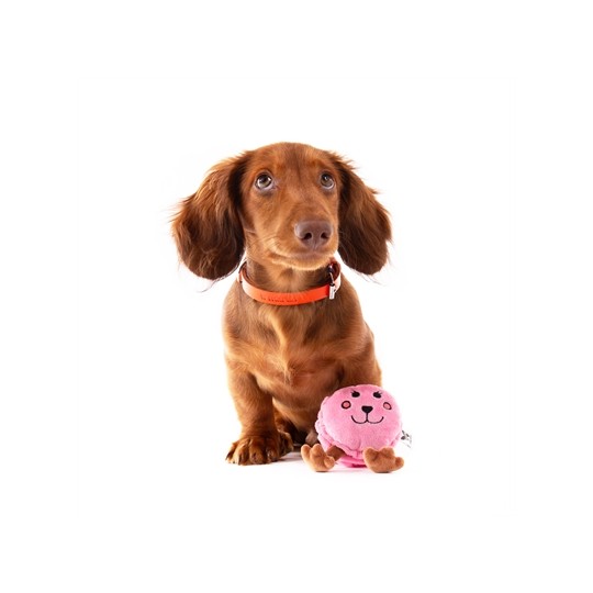 Martin Macaron Pluche