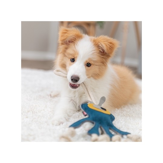 Trixie Monster Leer Met Touw