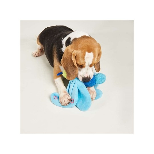 Fofos Jumbo Butterfly Blue