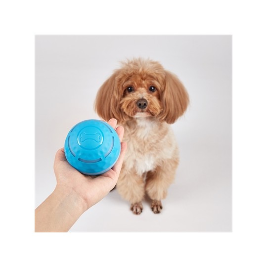 Fofos Rol Bal Oplaadbaar Voor Honden