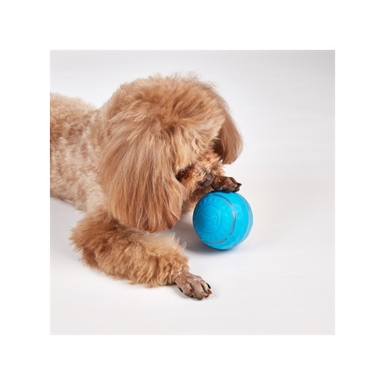 Fofos Rol Bal Oplaadbaar Voor Honden