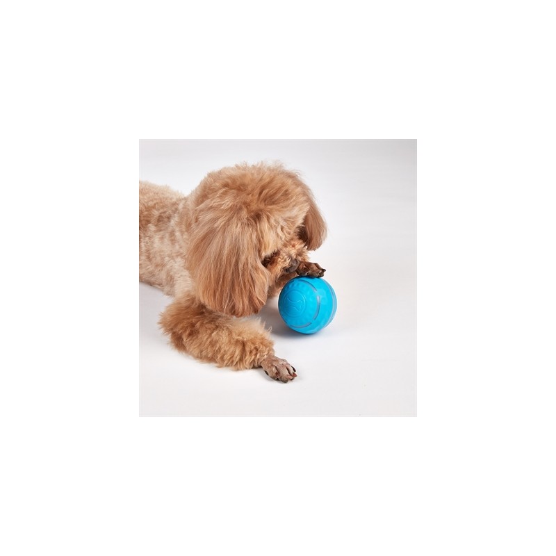 Fofos Rol Bal Oplaadbaar Voor Honden