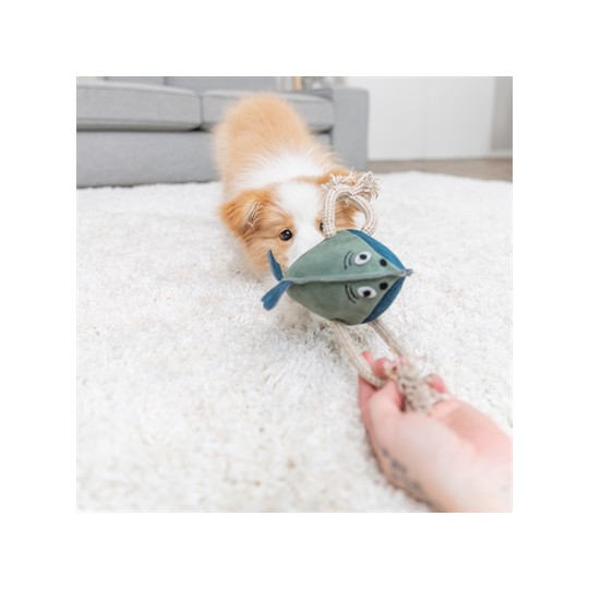 Trixie Vis Leer Met Touw