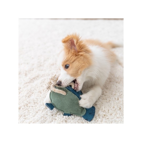 Trixie Vis Leer Met Touw