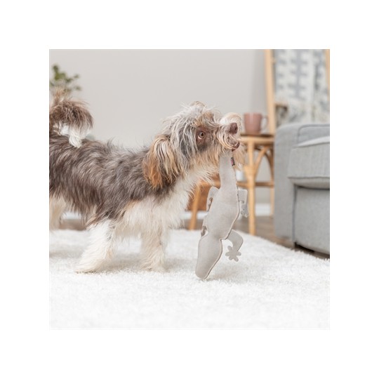 Trixie Salamander Leer