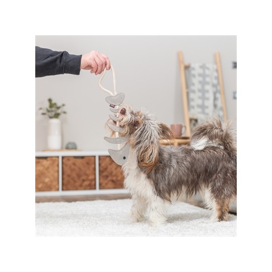 Trixie Visgraat Leer Met Touw