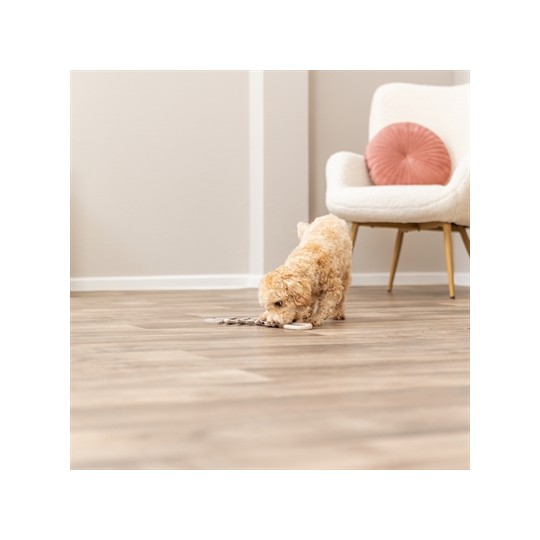 Trixie Visgraat Leer Met Touw