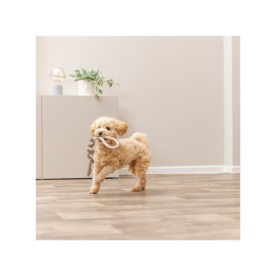 Trixie Visgraat Leer Met Touw