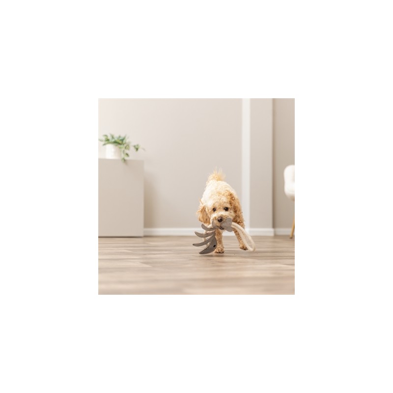 Trixie Visgraat Leer Met Touw