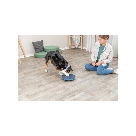 Trixie Dog Activity Rocking Maze Kunststof