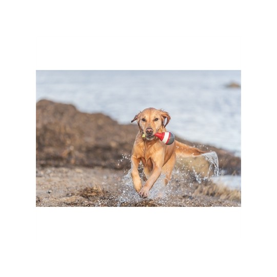 Trixie Aqua Snack Boei Tpr