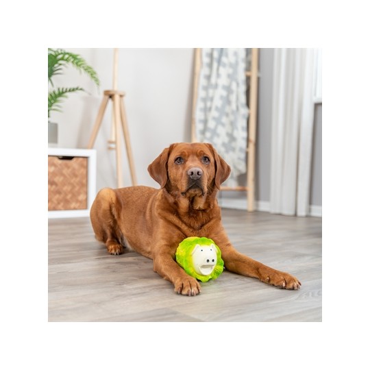 Trixie Koolvarken Latex Lichtgroen