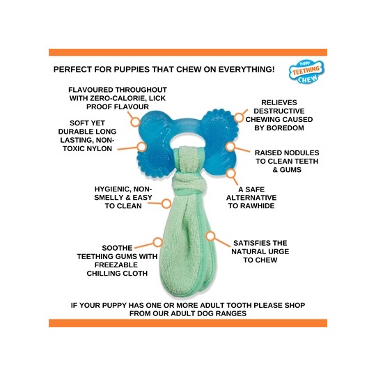 Nylabone Puppy Freezer Bone With Wash Cloth Pindakaassmaak