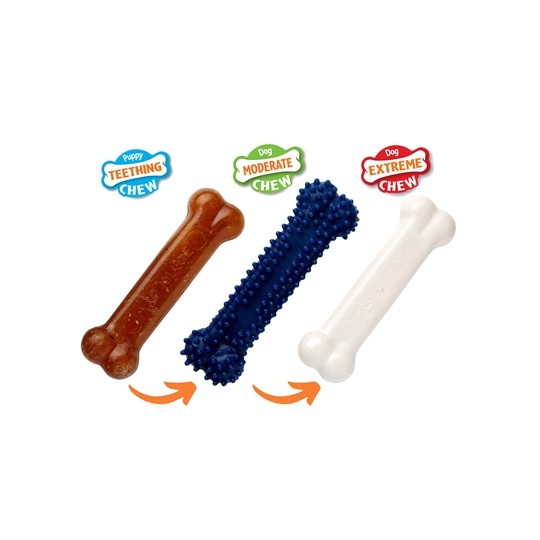 Nylabone Puppy Chew Puppy Starter Kit Chicken