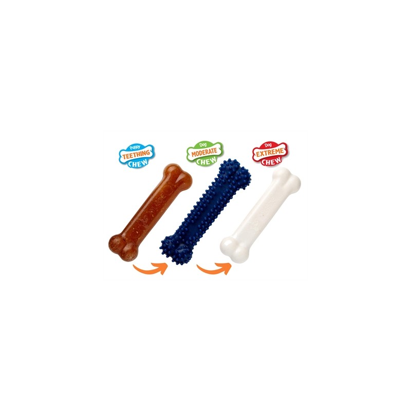 Nylabone Puppy Chew Puppy Starter Kit Chicken