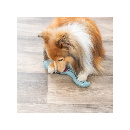 Trixie Tpr Snackslang