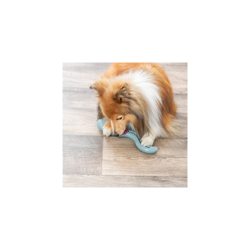 Trixie Tpr Snackslang